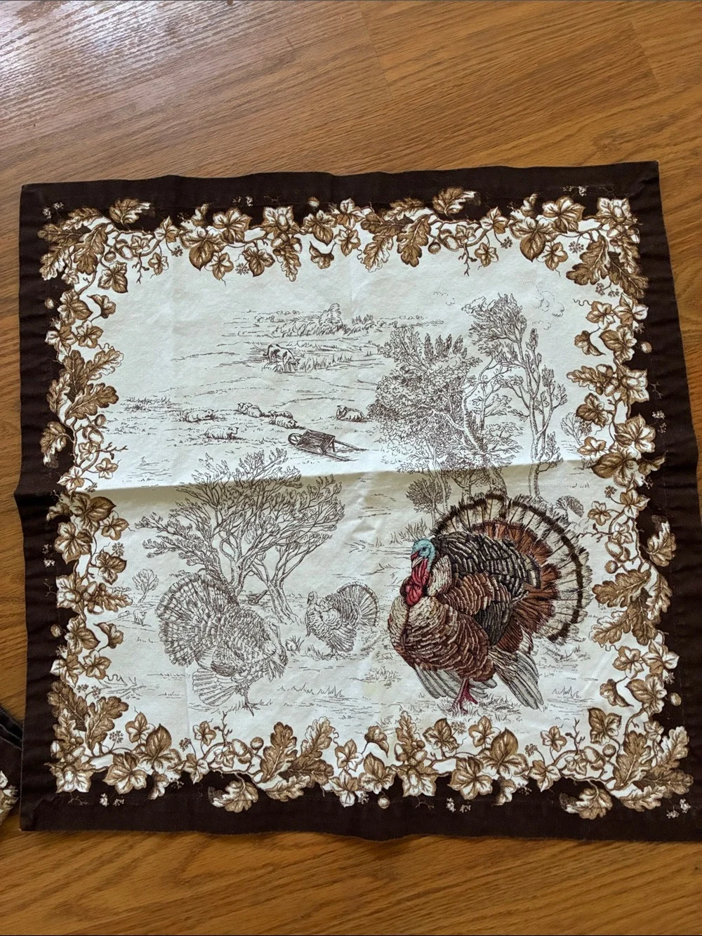 Set of 4 Williams Sonoma Plymouth Turkey napkins cotton 19” square